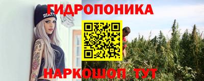 хмурый Новокубанск