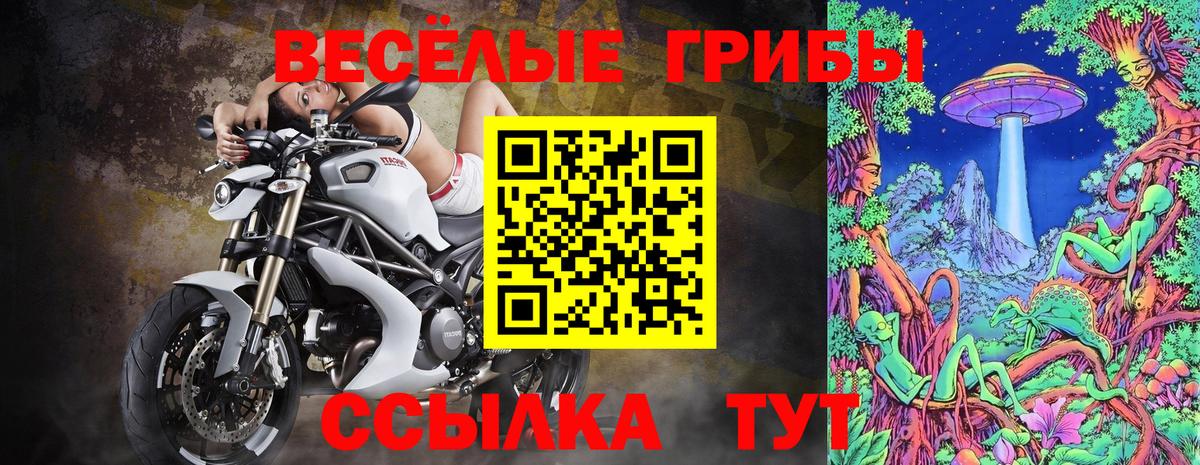 Псилоцибиновые грибы GOLDEN TEACHER Хасавюрт