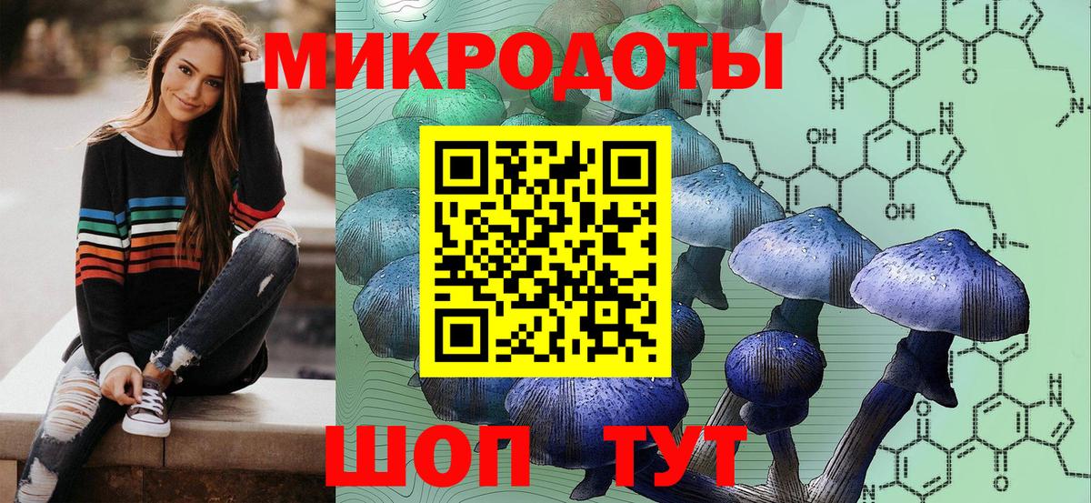 купить закладку  Вход с VPN  Хасавюрт  Псилоцибиновые грибы прущие грибы 